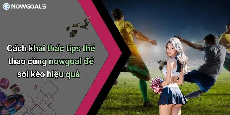 Cách khai thác tips thể thao cùng nowgoal để soi kèo hiệu quả