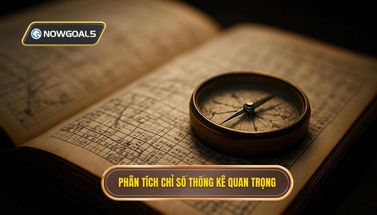 Phân Tích Chuyên Sâu Các Chỉ Số Thống Kê Trọng Yếu