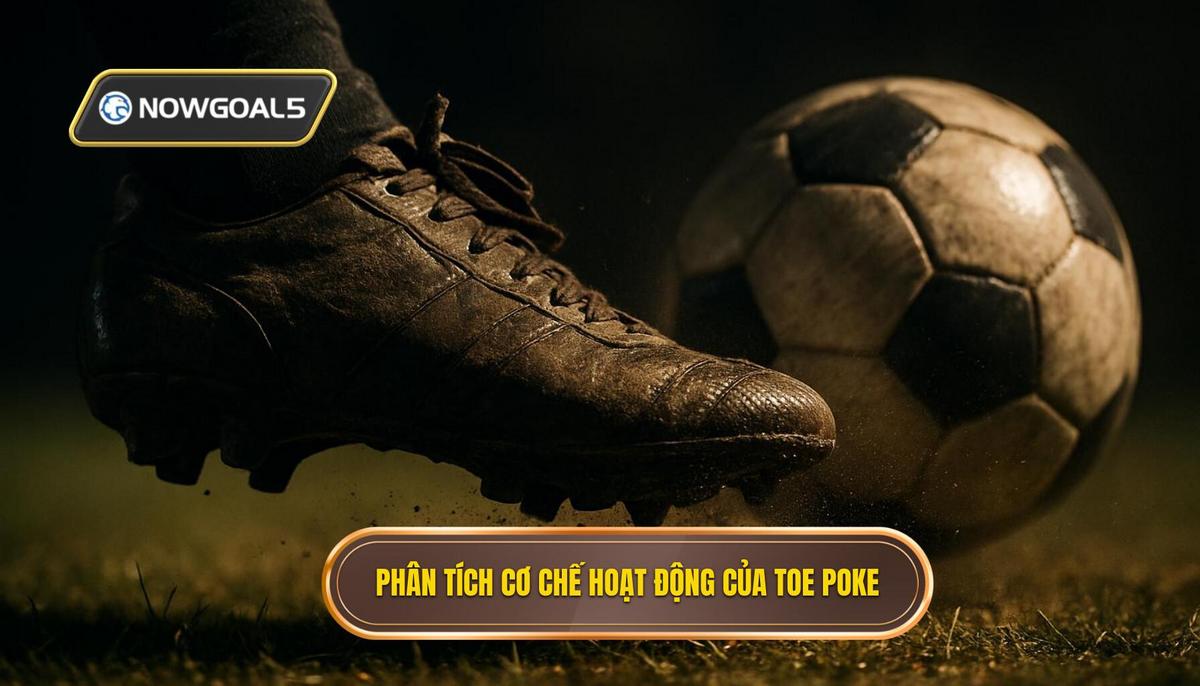 Phân tích Cơ chế Hoạt động của Toe Poke