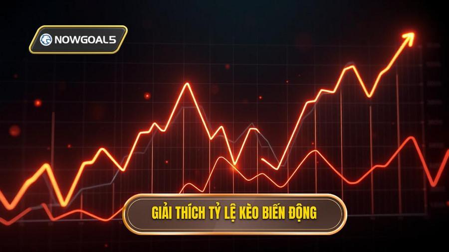 Tỷ lệ kèo biến động là gì?