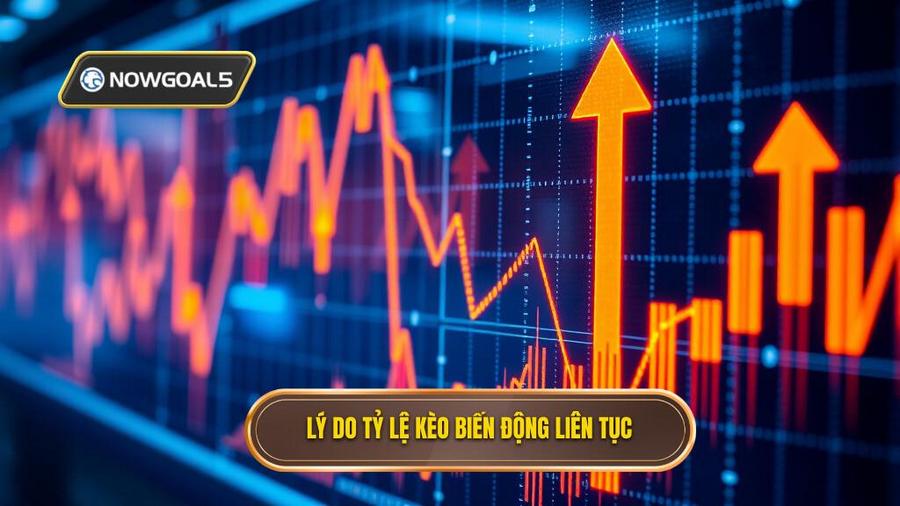 Tại sao tỷ lệ kèo biến động liên tục?