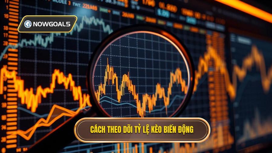 Cách nhận biết và theo dõi tỷ lệ kèo biến động hiệu quả